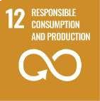 sdg12